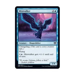 CCG Туманный Странник (С), MTG - Kaldheim