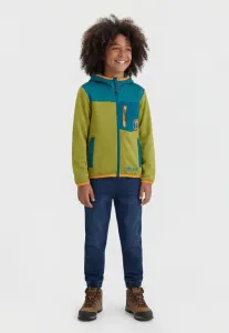 Детская куртка holmedal, флисовая куртка унисекс Trollkids, Pear Green/Lagoon Green