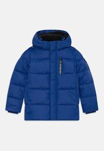 Зимняя куртка Calvin Klein Jeans ESSENTIAL PUFFER JACKET UNISEX, Bold Blue/Blue