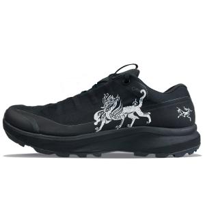 Arcteryx Кроссовки для бега Aerios FL Low top мужские черно-белые