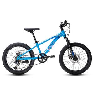 Велосипед детский VINBIKE Rock 20", голубой