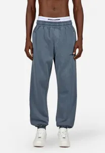 Спортивные брюки-джоггеры с логотипом Pegador, Vintage Shadow Blue