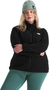 Женская куртка The North Face Glacier Tnf флисовая с воротником-стойкой, черный