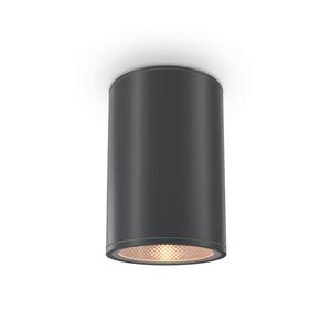 Наружный потолочный светильник MAYTONI, 10,8x15,5 см, графитовый