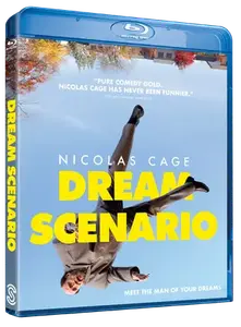 Сценарий мечты Scanbox