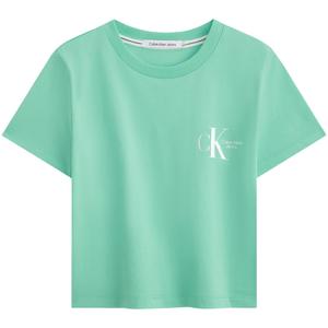 Футболка Women's Crew Neck Moderate Straight Fit Calvin Klein, l1c-mint зеленый