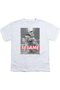 Футболка с коротким рукавом для детей Sesame Street Gildan, белый