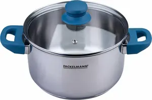 Кастрюля Essential с крышкой, Ø 20 см, из нержавеющей стали и бакелита, набор из 2 предметов для всех типов плит, включая индукционные. Fackelmann