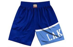 Mitchell Ness Шорты баскетбольные Mitchell & Ness мужские королевского синего цвета