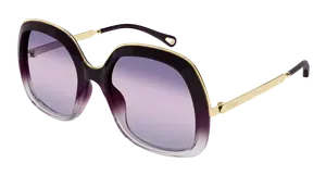 Женские солнцезащитные очки CH0327S CHLOE