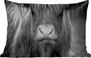 Подушка для улицы - Шотландская горная корова - Шерсть - Животные - 50 x 30 см - Водонепроницаемая - Подушка для отдыха - Подушка для дивана - Украшение для гостиной MuchoWow