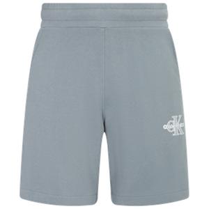 Повседневные шорты мужские серые Calvin Klein, серый