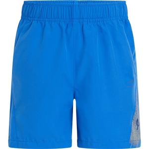 Shorts masetto vb Energetics, синий
