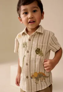 Рубашка с коротким рукавом стандартного кроя Next, Ecru Striped Dino