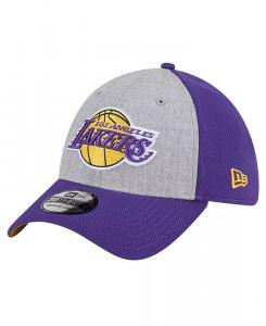 Мужская двухцветная кепка Los Angeles Lakers Хизер Серо/Фиолетовый 39THIRTY Flex New Era, серый
