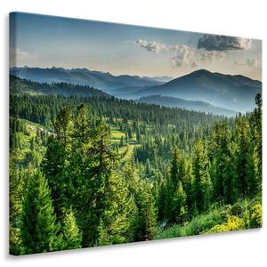 Картина на холсте Muralo WALD Bäume See Berge 3D, 70x50x50 см цвет blau/grau/grün/weiß
