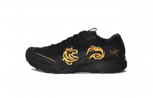 Arcteryx Aerios FL устойчивые к истиранию дышащие низкие кроссовки для активного отдыха Unisex черные золотые