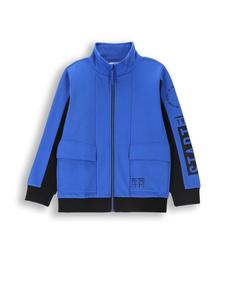 Толстовка Coccodrillo, кобальтовый синий