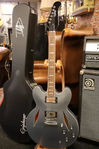 Epiphone Dave Grohl DG-335 (включая чехол)