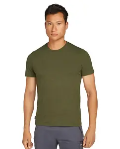 Футболка мужская M Central Classic SS Tee ICEBREAKER Icebreaker, зеленый