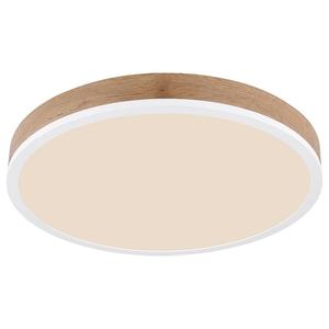 Светодиодный потолочный светильник Globo Lighting Doro Typ L, акриловое стекло / железо - 1 пламя