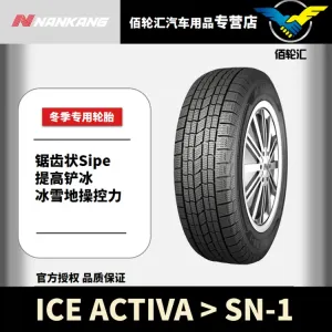 Зимние шины NANKANG SN-1 2024 215/65R15 96Q NNANKANG