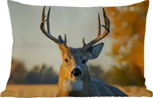 Подушка для улицы - Олень - Трава - Осень - Рога - Природа - Животные - 60 x 40 см - Устойчива к погодным условиям - Подушка для отдыха - Декоративная подушка - Подушка для дома MuchoWow
