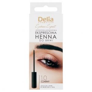 Однокомпонентная экспресс-хна для бровей 1.0 черная 6 мл Delia Cosmetics Eyebrow Expert, Inna marka