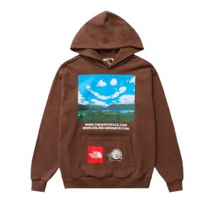 Худи The North Face x Online Ceramics, цвет коричневый