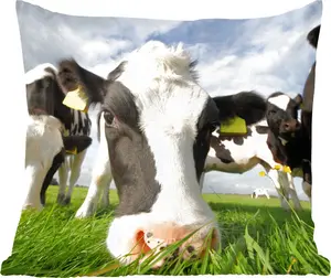 Декоративная подушка , подушка для дивана, декоративная подушка для гостиной, 40x40 см, Корова - Трава - Нос - Воздух, фотоподушка, украшение для спальни MuchoWow