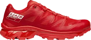 Кроссовки XT-6 10 Year Anniversary, красный