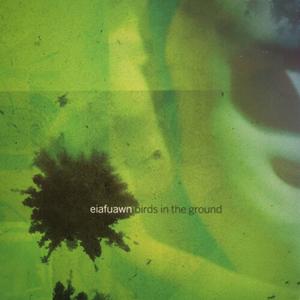 Виниловая пластинка LP Birds In The Ground [Canary Yellow Vinyl] - Eiafuawn