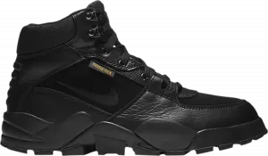 Ботинки Nike Rhyodomo Gore-Tex 'Black Anthracite', черный