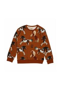 Толстовка Walkiddy Sweatshirt, Brown