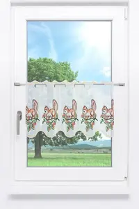 Занавеска для кафе из кружева Plauen - белка (Ш x В) 128 см * 35 см, коричневый/коричневый Plauener Spitze