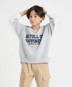 Толстовка с бархатным принтом, подобранная по цвету Comme Ca Ism, цвет Heather Gray