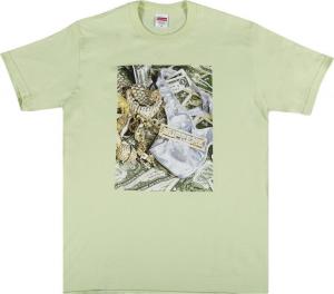 Футболка Supreme Bling Tee 'Pale Mint', зеленый