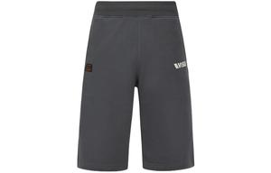 Повседневные шорты мужские темно-серые Evisu, темно-серый