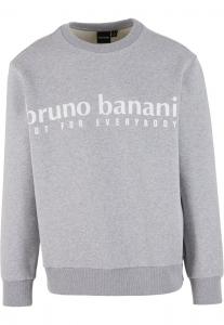 Толстовка Bruno Banani, Light grey