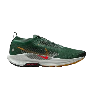 Кроссовки Nike Pegasus Trail 5 GORE-TEX, Fir Desert Ochre