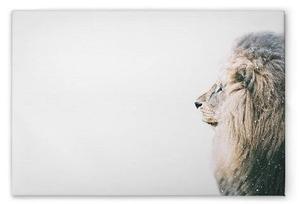 Картина на холсте A.S. Création Lion In Snow цвет weisscremebeigeschwarz
