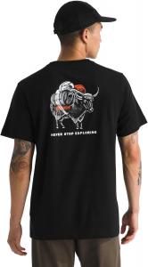 Футболка North Face Mens Evolution Vault Tri Pack с коротким рукавом | Футболка с ребристым воротником и втачными рукавами The North Face, Tnf Black