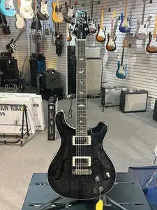 PRS SE Hollowbody Standard - Собачья шерсть, дымчатый взрыв