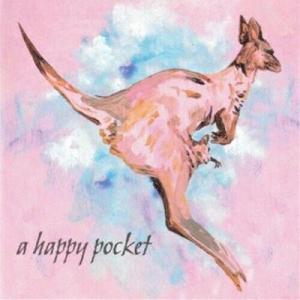 Виниловая пластинка Trashcan Sinatras - Happy Pocket