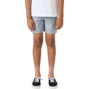 Детские шорты Boys' Perform Light Lined 15" O'Neill, Light Grey