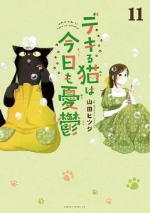 The Capable Cat Is Melancholy Today (11) (Wide KC)