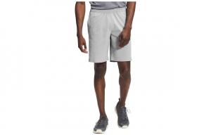 Повседневные шорты мужские серые The North Face, серый