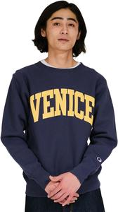 Мужская толстовка Champion C3-C022 с обратным плетением, с длинным рукавом, плотность ткани 11,5 унций, ворсистая подкладка, графический принт, обратное плетение, темно-синий