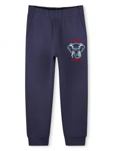 Спортивные брюки с вышитым логотипом Kenzo Kids, синий