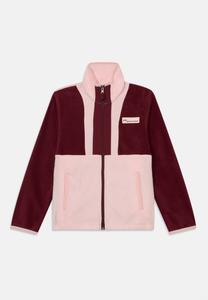 Флисовая куртка Columbia BACK BOWL FULL ZIP UNISEX, Rich Wine/Satin Pink/Red